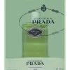 Prada Women's 6.8oz Les Infusions De Iris EDP Spray (Collection Edition)